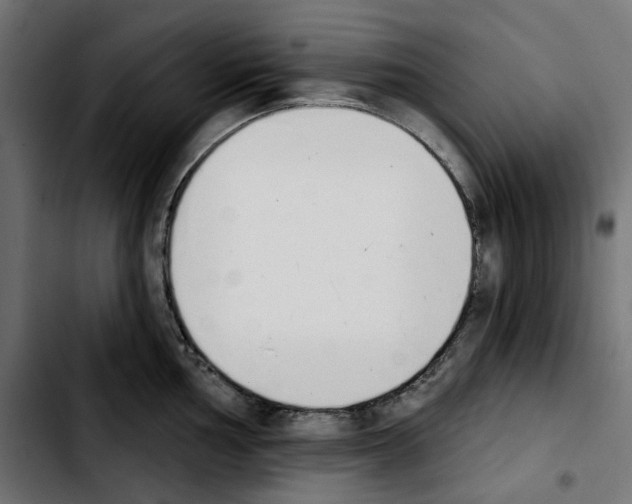X0000103911002200810311428