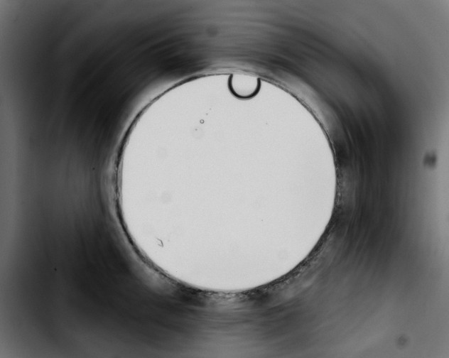 X0000103911003200810311428