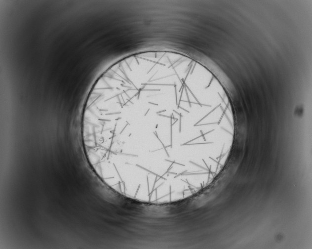 X0000103911004200810311428