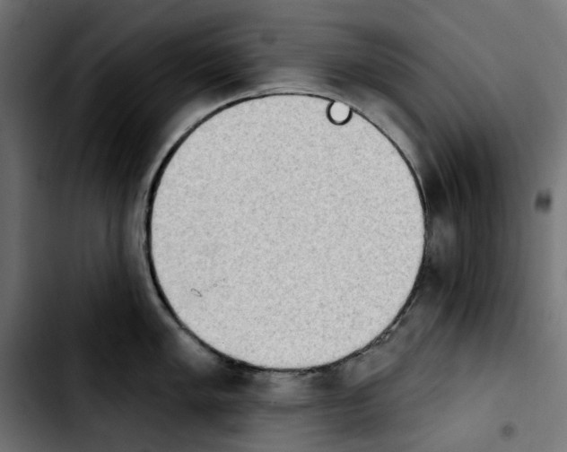 X0000103911005200810311428