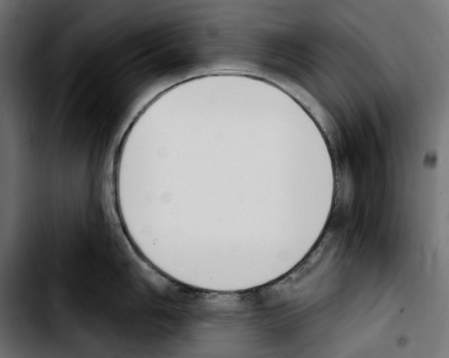 X0000103911006200810311428