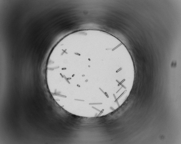X0000103911008200810311428
