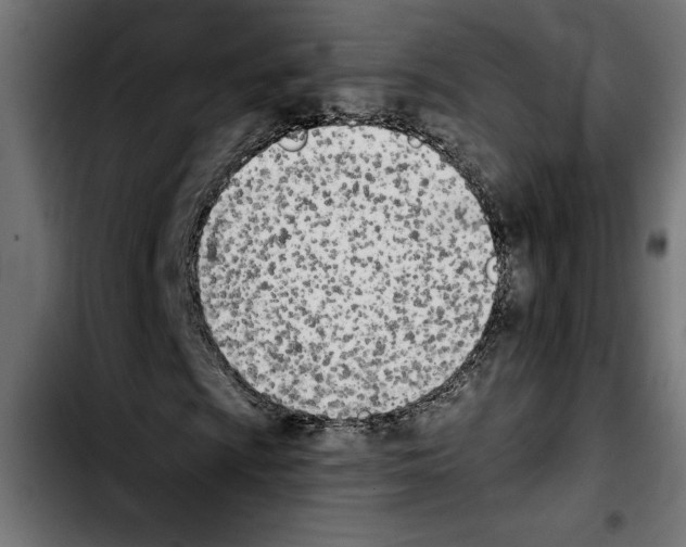 X0000103911009200810311427