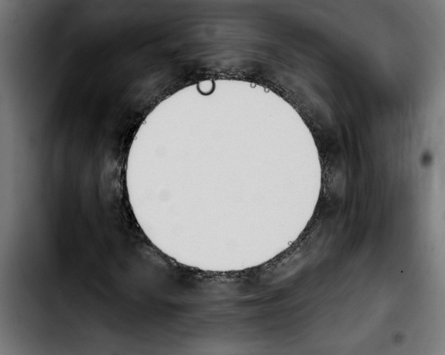 X0000103911010200810311427