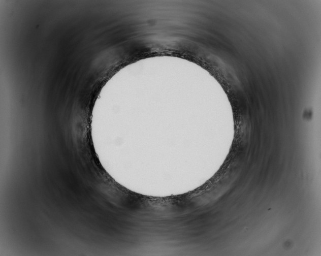 X0000103911012200810311427