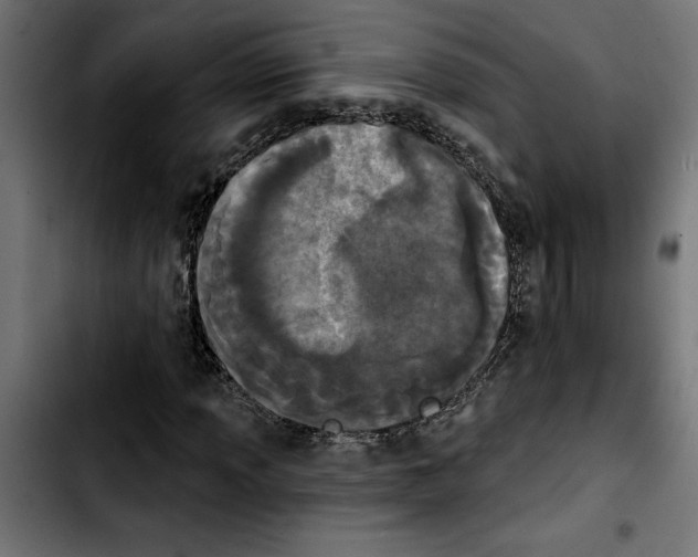 X0000103911013200810311427