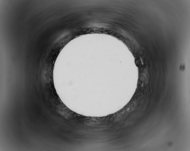 X0000103911014200810311427
