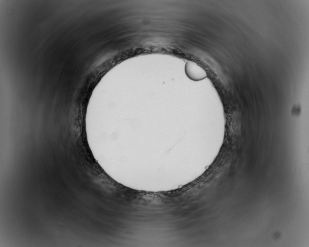 X0000103911015200810311427