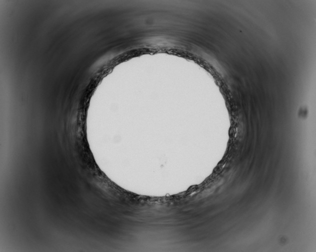 X0000103911016200810311427