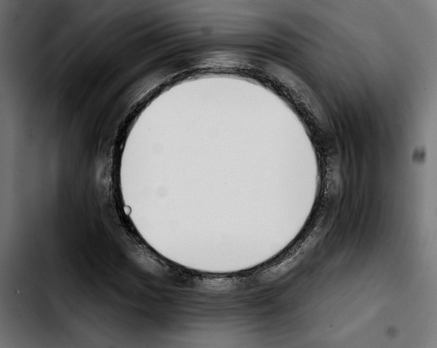 X0000103911017200810311427