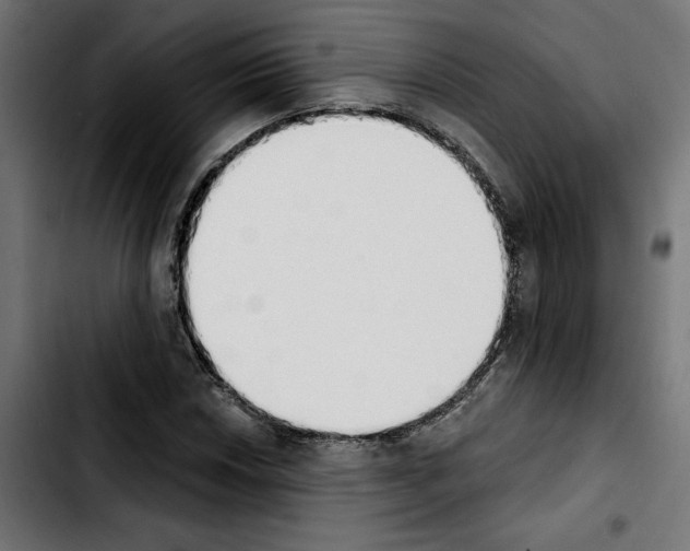 X0000103911018200810311427