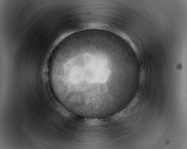 X0000103911019200810311427
