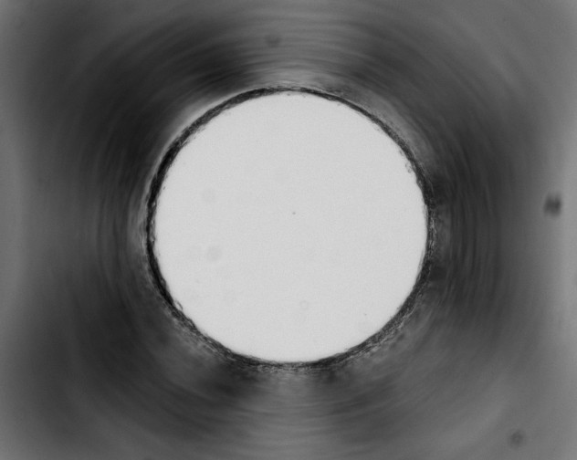 X0000103911020200810311427