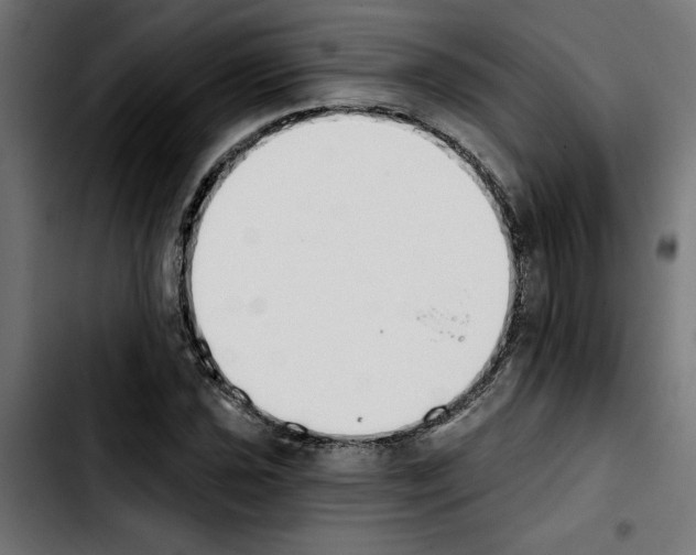 X0000103911021200810311427