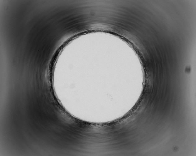 X0000103911022200810311427