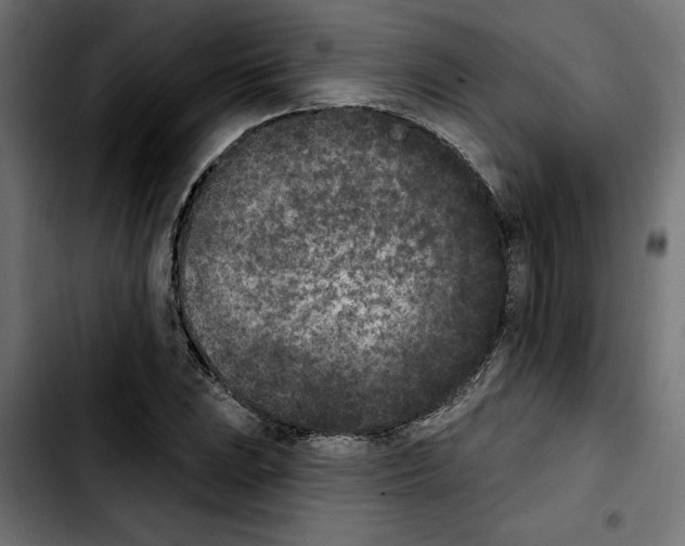 X0000103911023200810311427