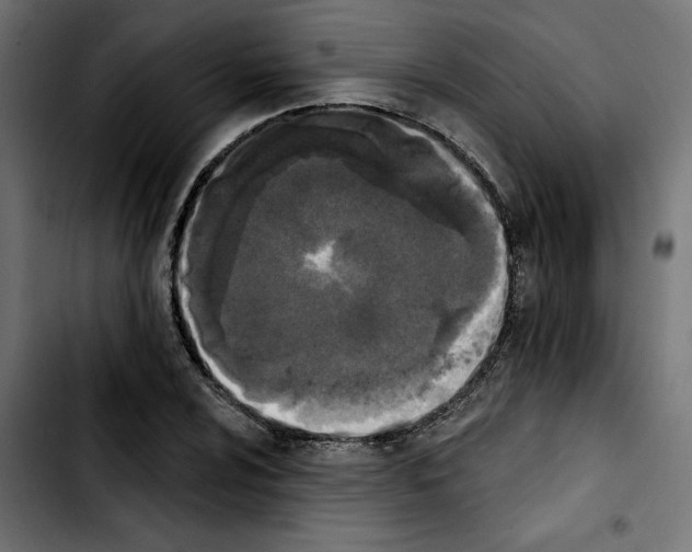 X0000103911024200810311427