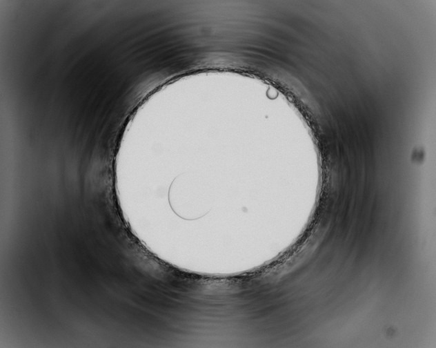 X0000103911025200810311427