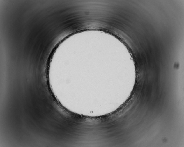 X0000103911026200810311427