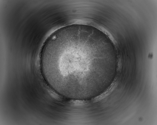 X0000103911027200810311427