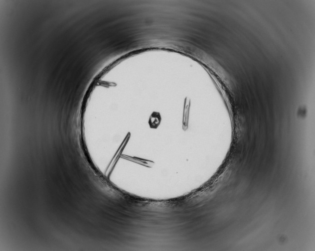 X0000103911028200810311427