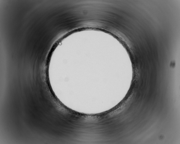 X0000103911029200810311427