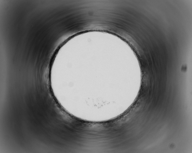 X0000103911030200810311427