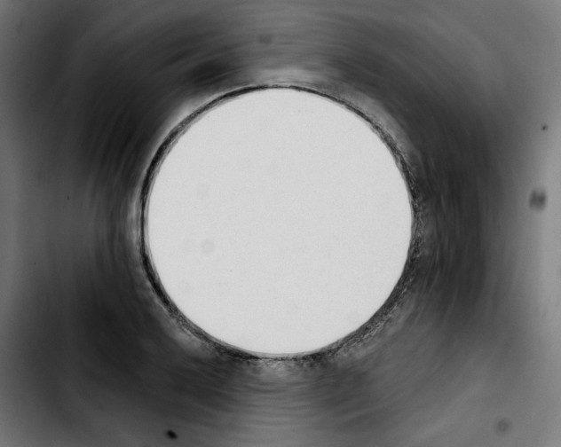 X0000103911032200810311427