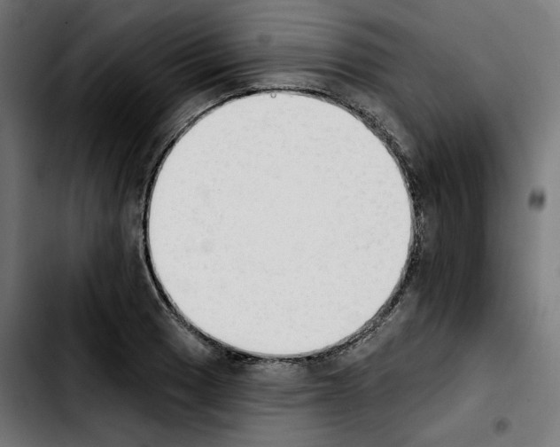 X0000103911033200810311427