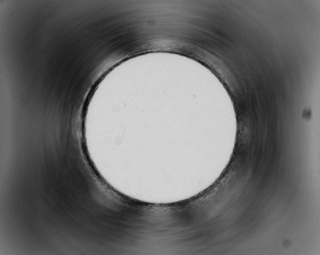 X0000103911034200810311428