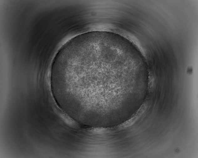X0000103911035200810311428