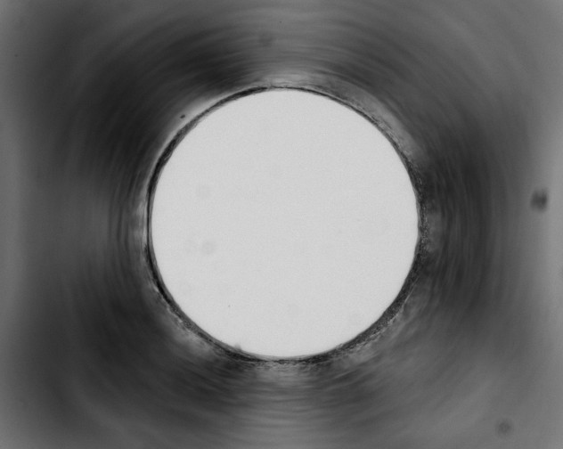 X0000103911036200810311428