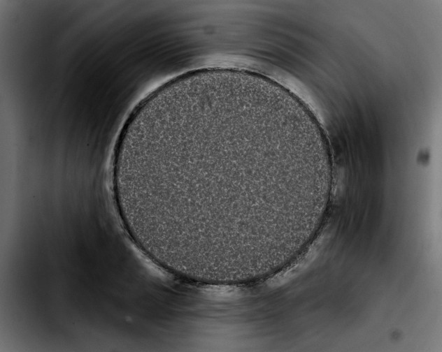 X0000103911037200810311428