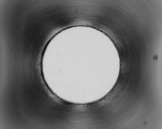 X0000103911038200810311428