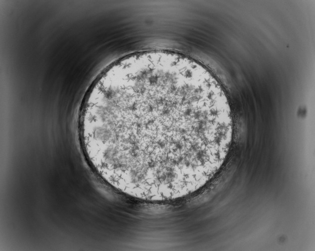 X0000103911039200810311428