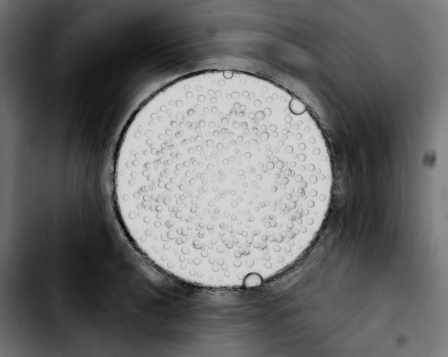 X0000103911040200810311428