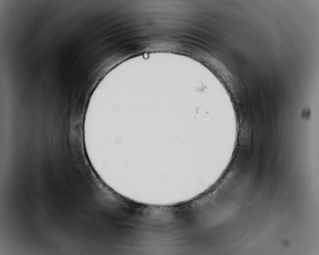 X0000103911041200810311428