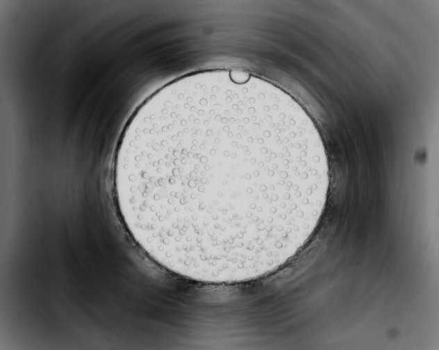 X0000103911044200810311428