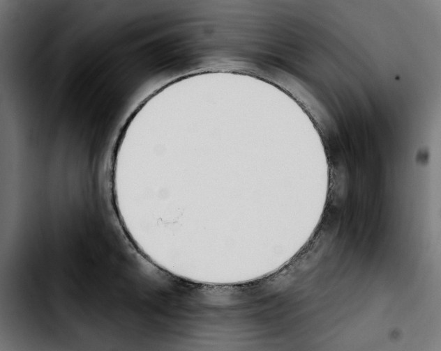 X0000103911046200810311428