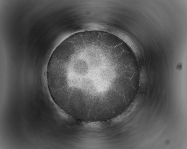 X0000103911047200810311428
