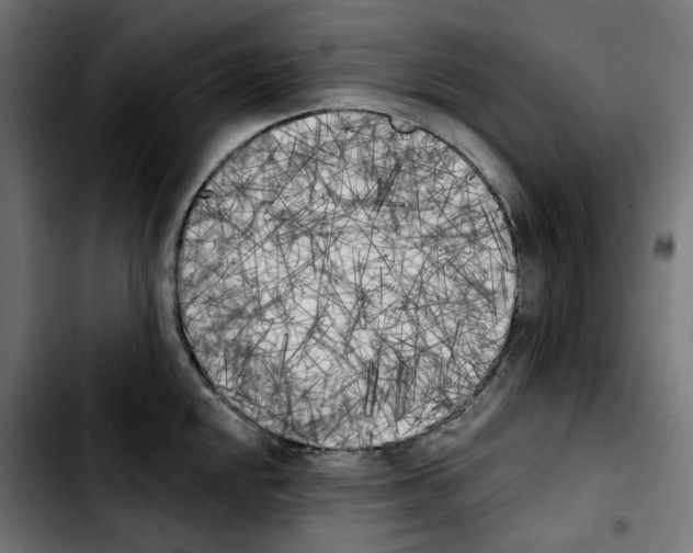 X0000103911048200810311428