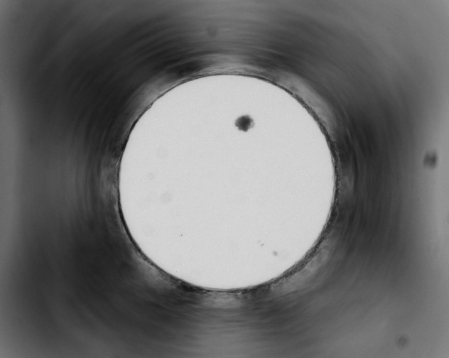 X0000103911049200810311428