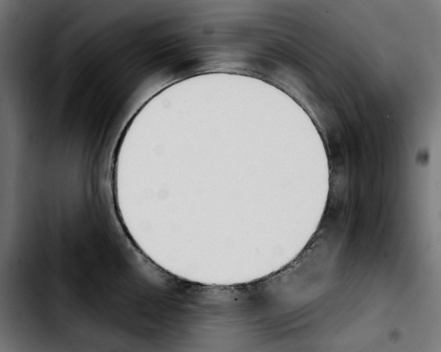 X0000103911050200810311428