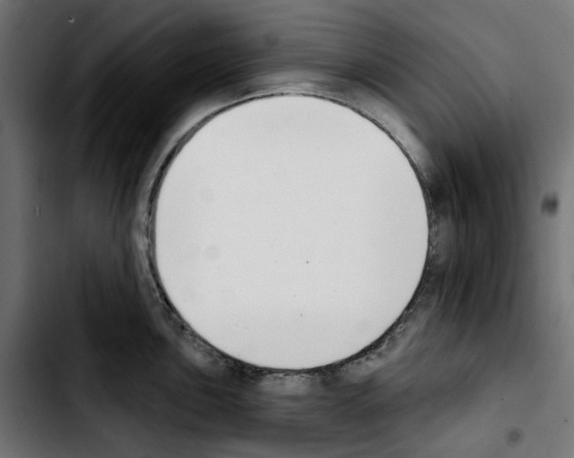 X0000103911051200810311428