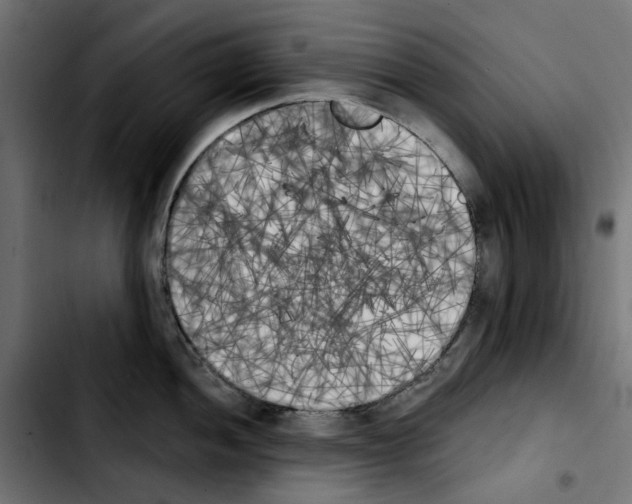 X0000103911052200810311428