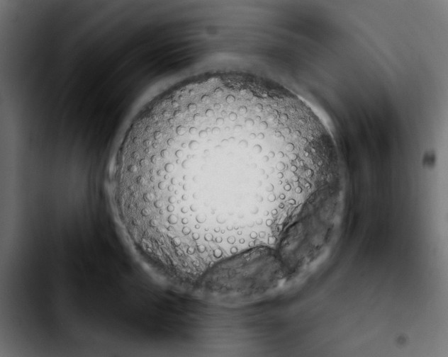 X0000103911053200810311428