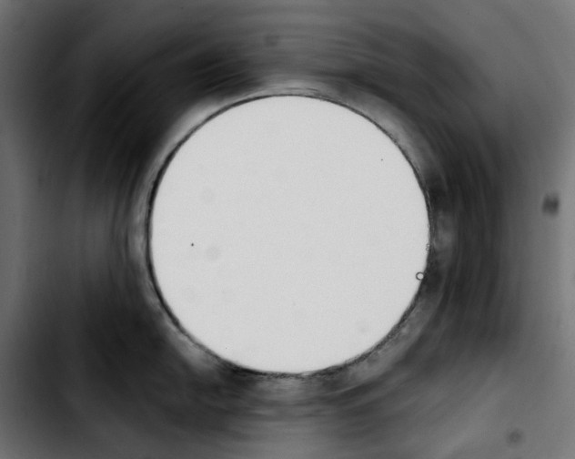 X0000103911054200810311428