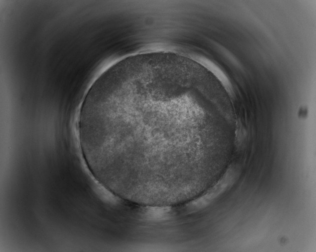 X0000103911055200810311428