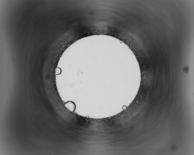 X0000103911057200810311427