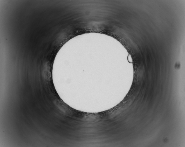 X0000103911058200810311427